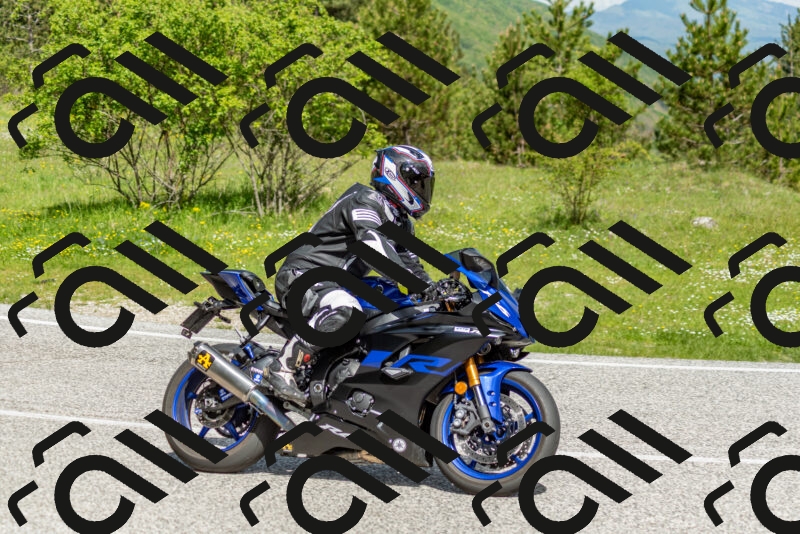 202505181055-DSC_7731_c2