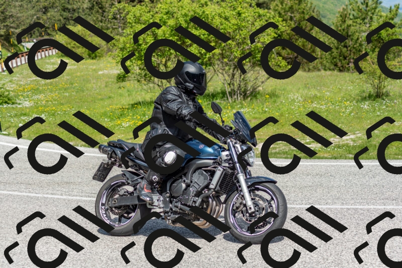 202505181055-DSC_7732_c2