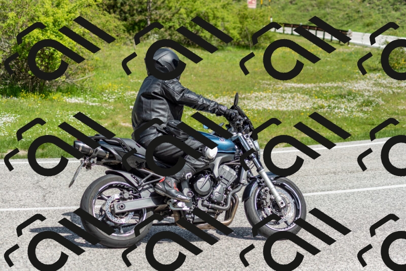 202505181055-DSC_7734_c2