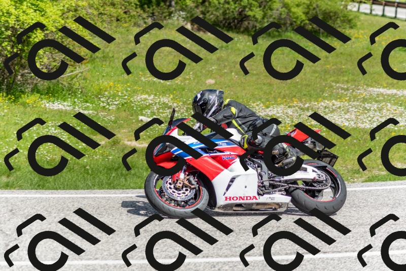 202505181055-DSC_7742_c2