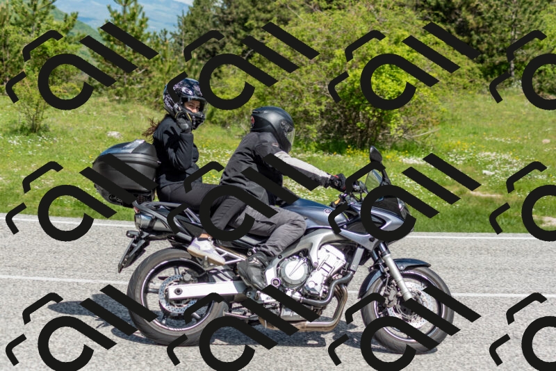 202505181055-DSC_7744_c2