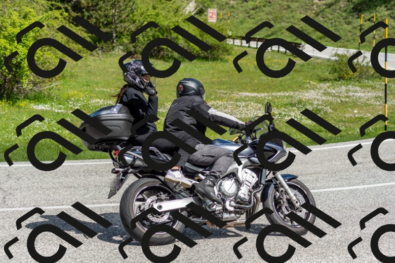 202505181055-DSC_7745_c2