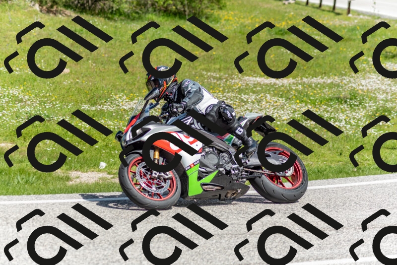 202505181057-DSC_7775_c2