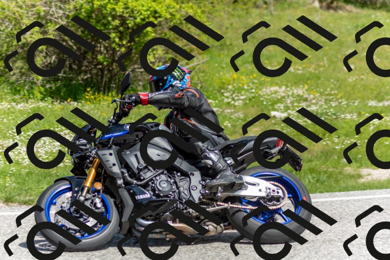 202505181057-DSC_7779_c2