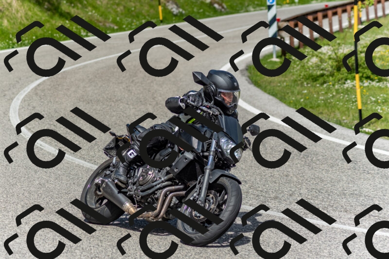 202505181057-DSC_7791_c2