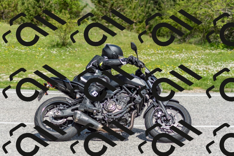 202505181057-DSC_7792_c2