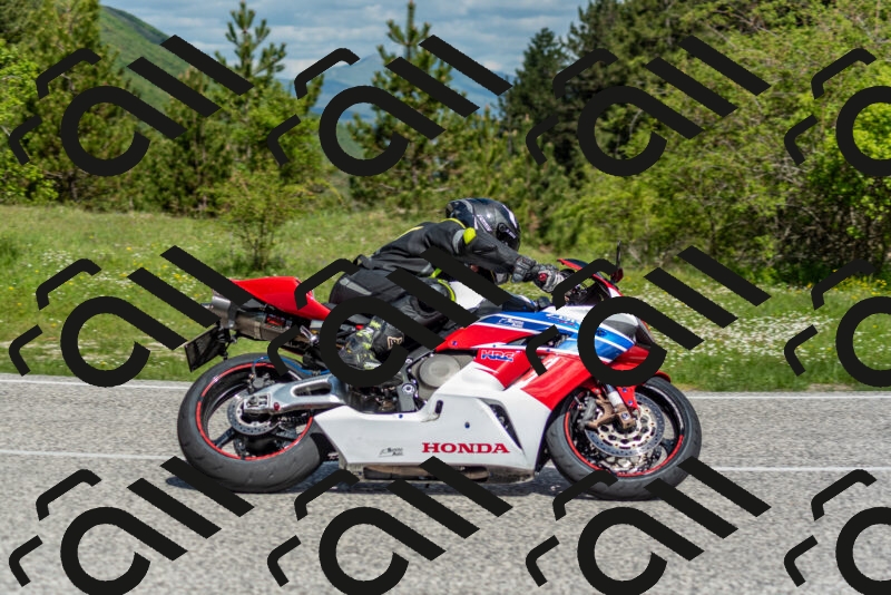 202505181057-DSC_7808_c2