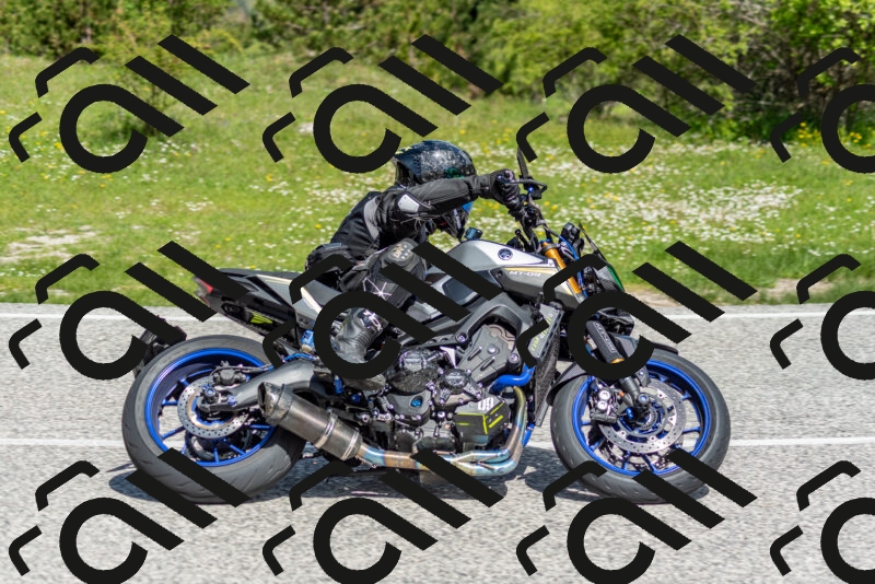 202505181058-DSC_7813_c2