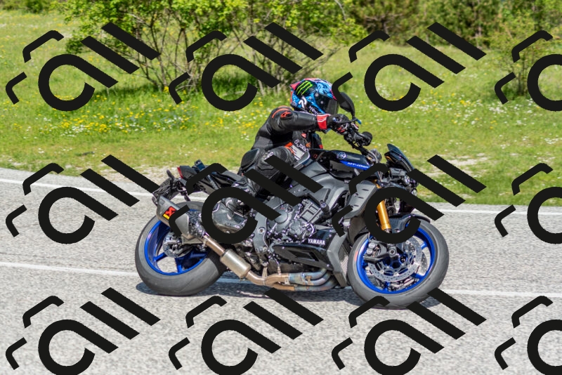 202505181058-DSC_7817_c2