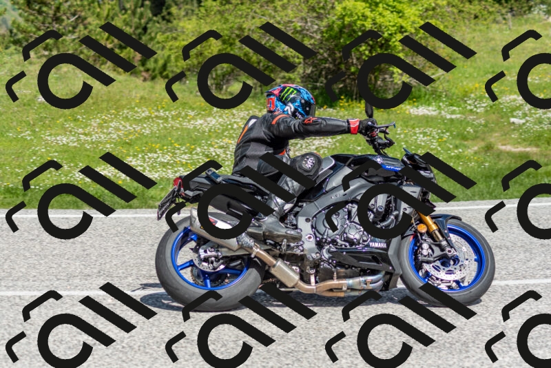 202505181058-DSC_7818_c2