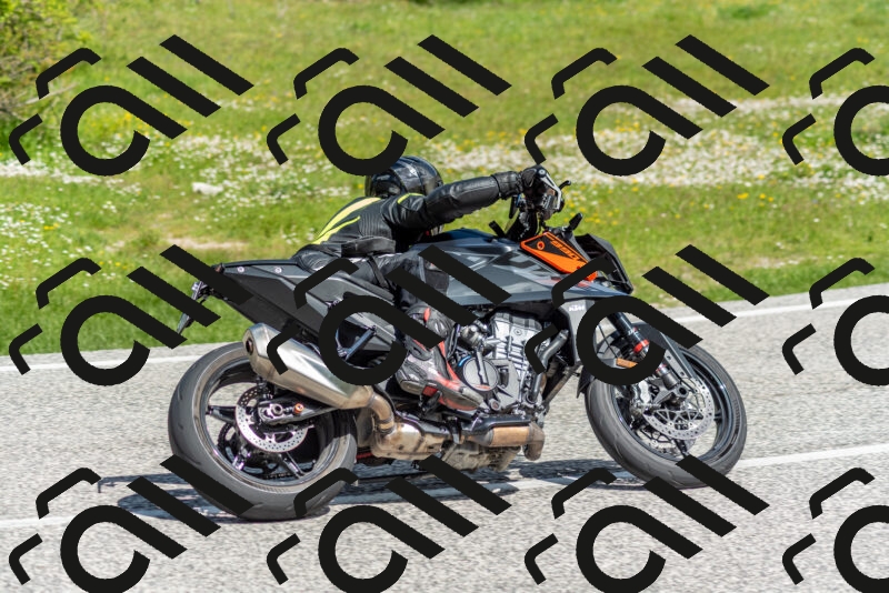 202505181058-DSC_7830_c2