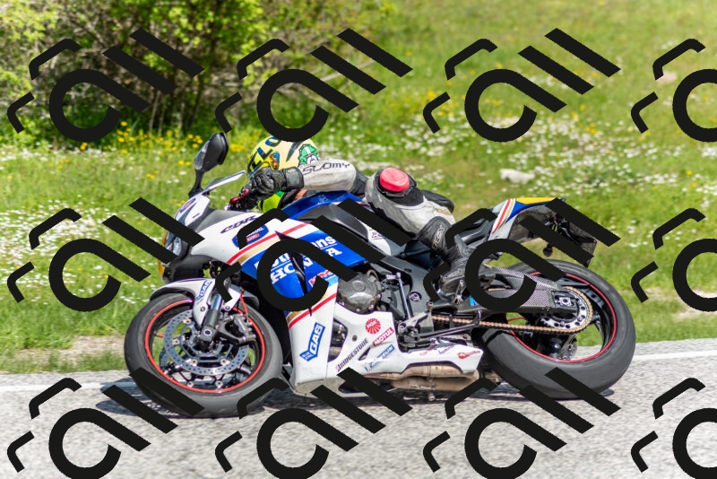 202505181058-DSC_7835_c2