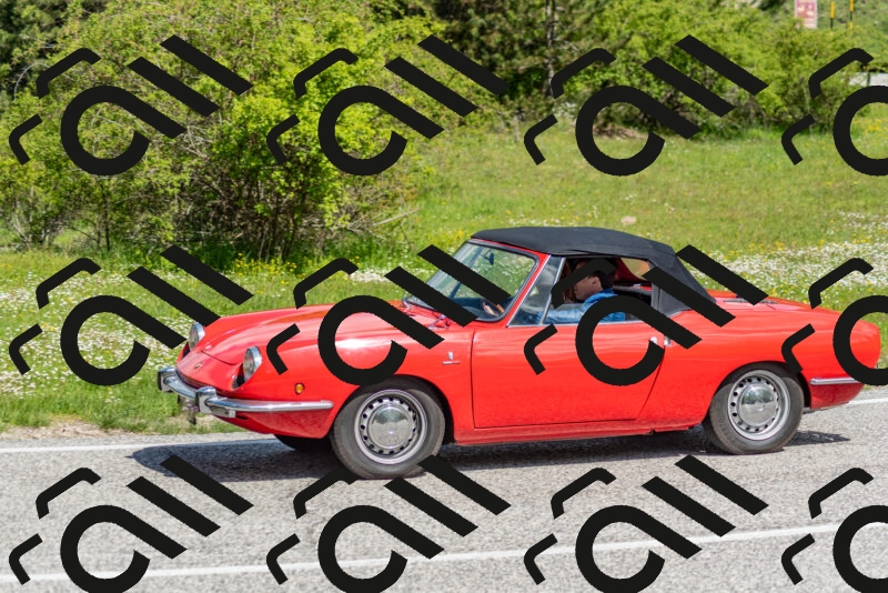 202505181059-DSC_7840_c2