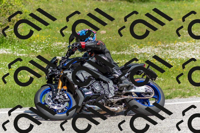 202505181059-DSC_7864_c2