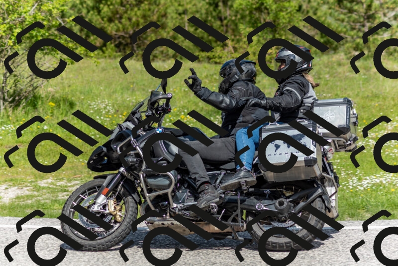 202505181100-DSC_7878_c2