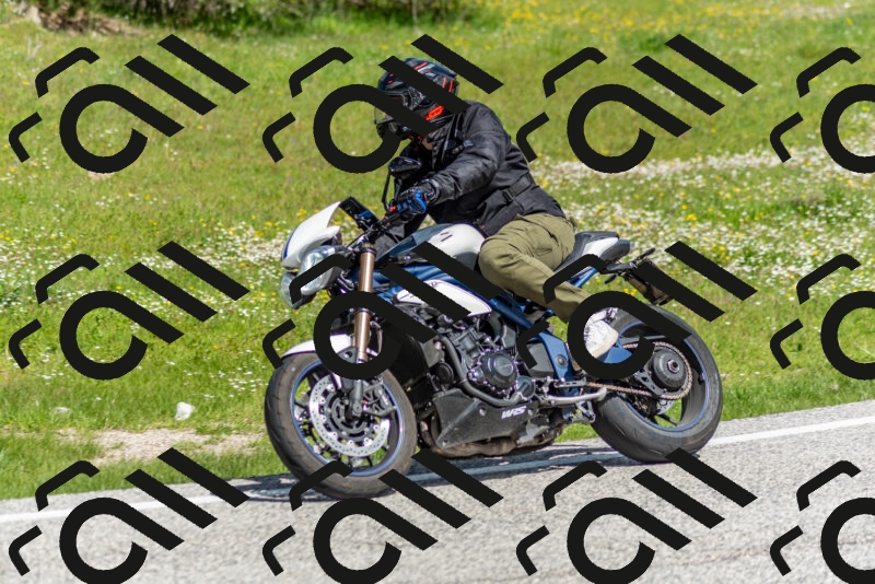 202505181100-DSC_7885_c2