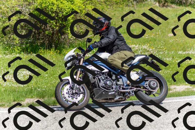 202505181100-DSC_7886_c2