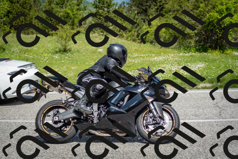 202505181101-DSC_7913_c2