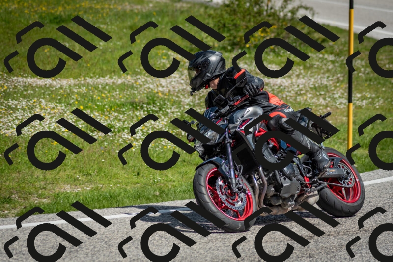 202505181102-DSC_7935_c2