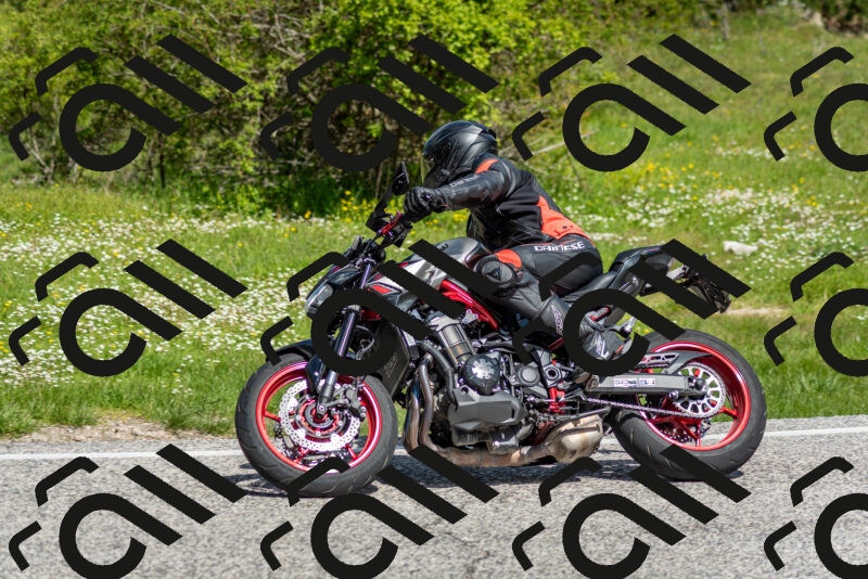 202505181102-DSC_7936_c2