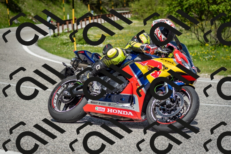 202505181102-DSC_7950_c2