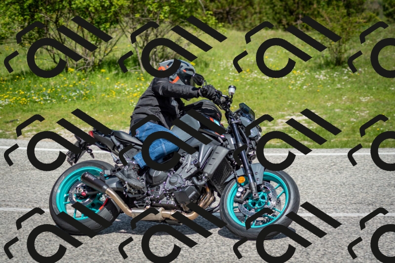 202505181103-DSC_7962_c2