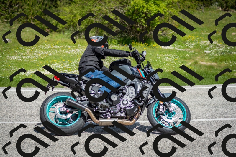 202505181103-DSC_7963_c2