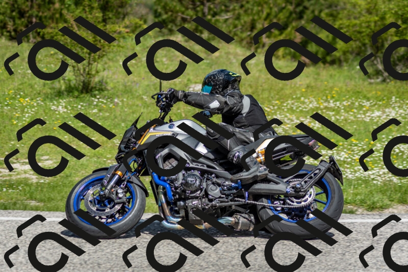 202505181103-DSC_7967_c2