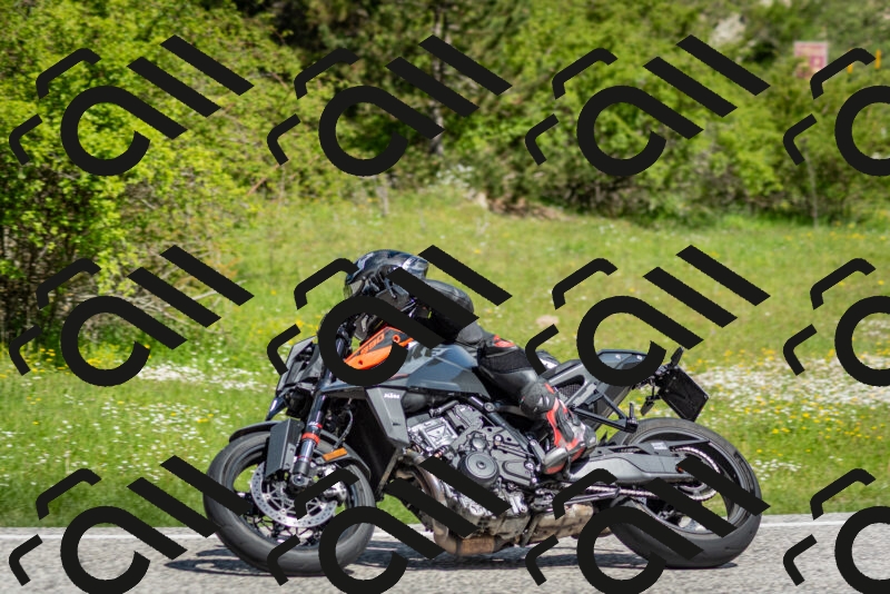 202505181105-DSC_7991_c2