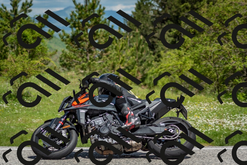 202505181105-DSC_7992_c2