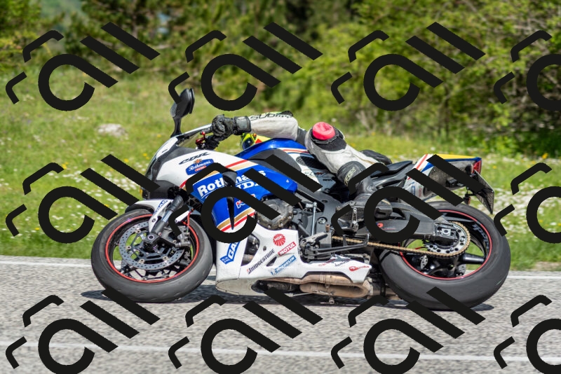 202505181105-DSC_8002_c2