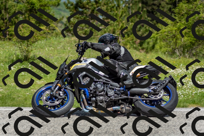 202505181105-DSC_8005_c2