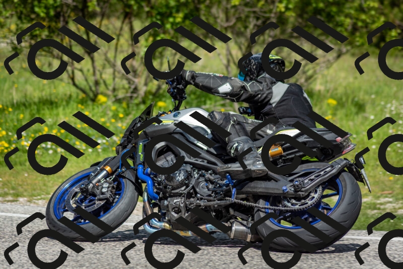 202505181105-DSC_8006_c2