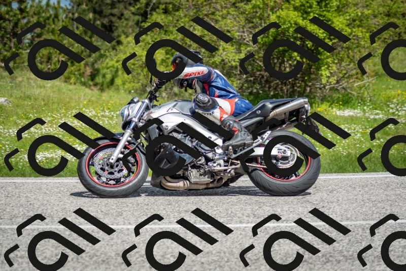 202505181106-DSC_8010_c2