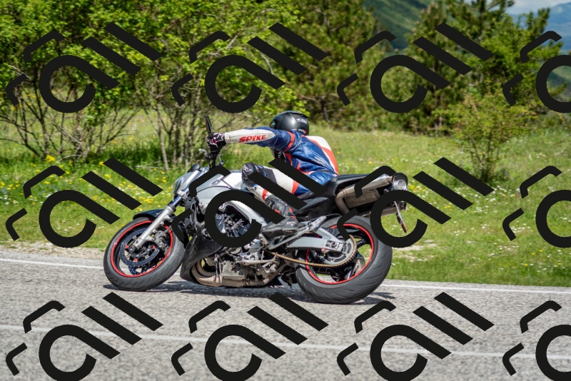 202505181106-DSC_8011_c2