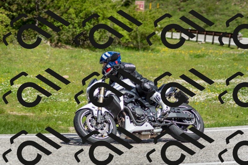 202505181106-DSC_8013_c2