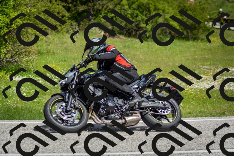 202505181106-DSC_8015_c2