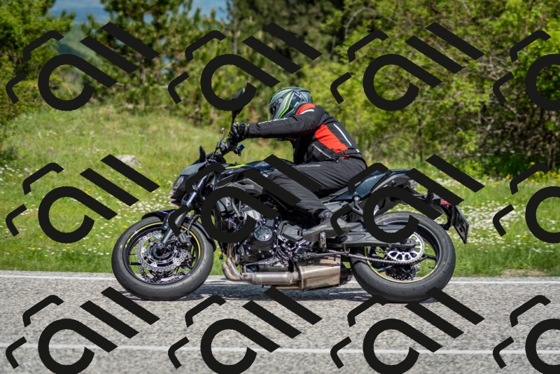 202505181106-DSC_8016_c2