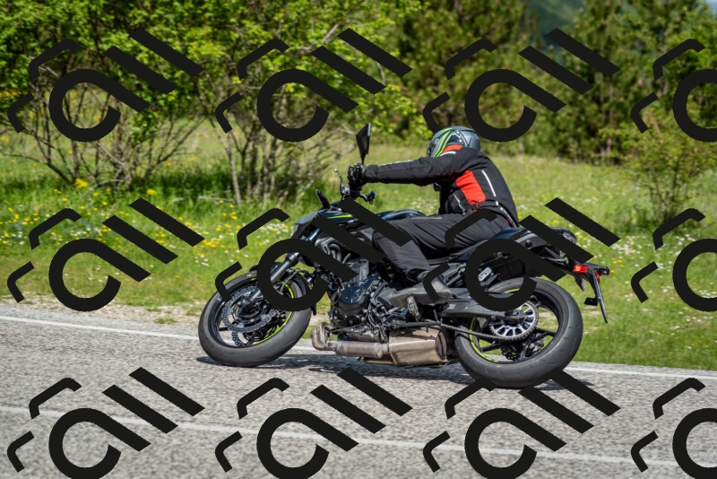 202505181106-DSC_8017_c2