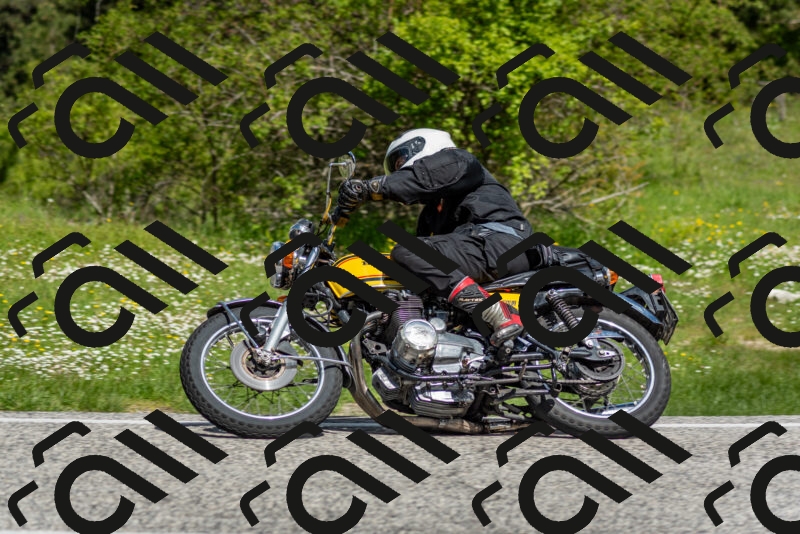 202505181106-DSC_8018_c2