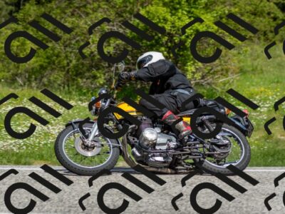 202505181106-DSC_8018_c2