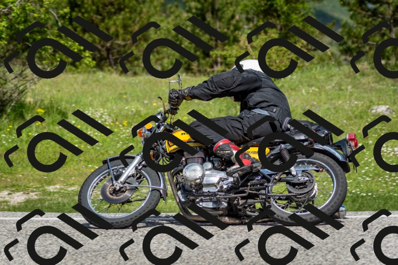 202505181106-DSC_8019_c2