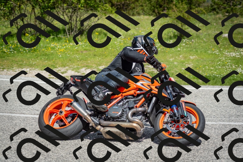 202505181106-DSC_8022_c2