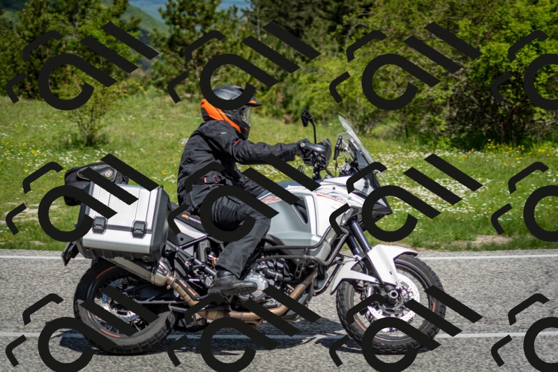 202505181108-DSC_8033_c2