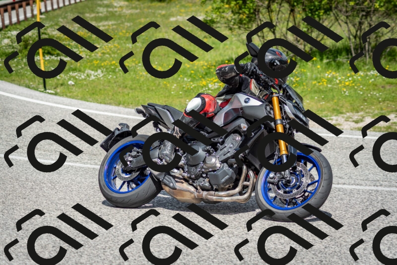 202505181109-DSC_8041_c2