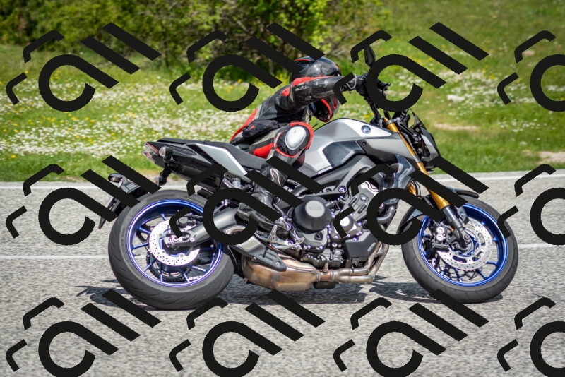 202505181109-DSC_8042_c2