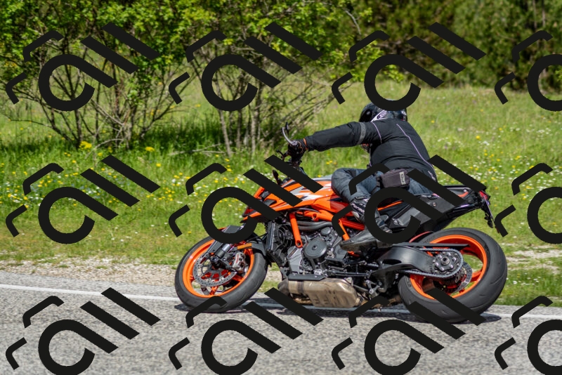 202505181109-DSC_8055_c2