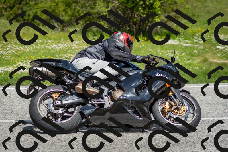 202505181109-DSC_8059_c2