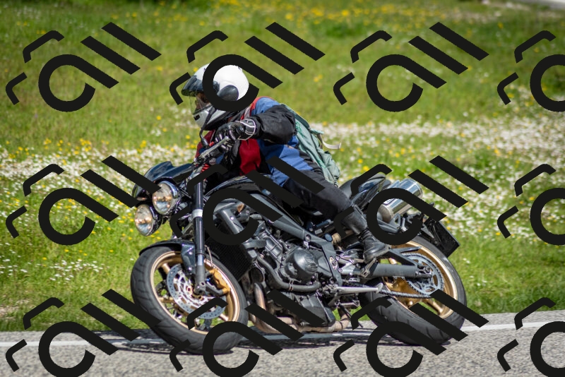 202505181110-DSC_8061_c2