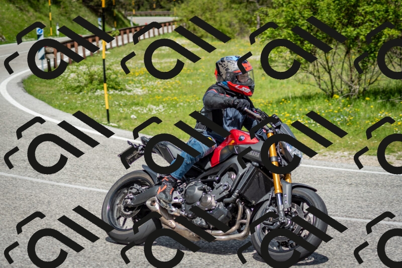 202505181110-DSC_8067_c2